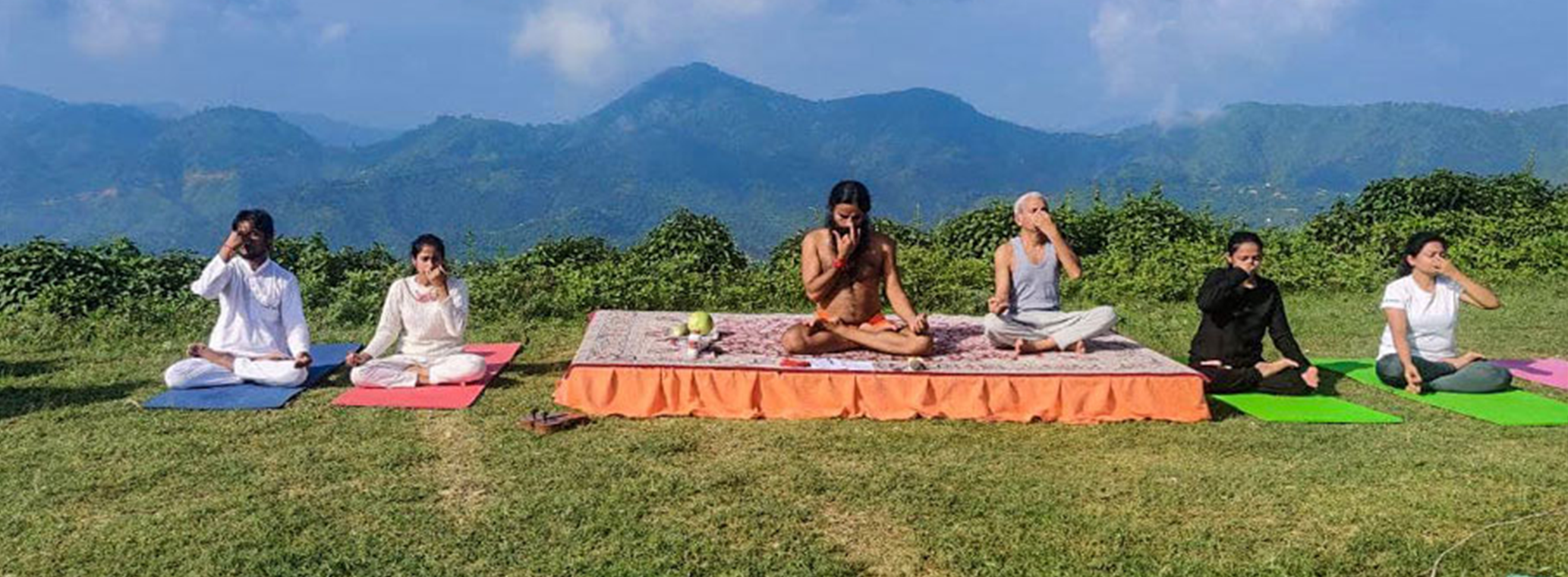 Patanjali Wellness Veda Life