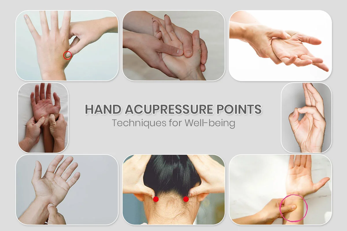 Accupresor