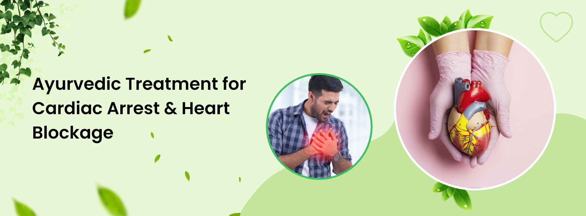 Ayurvedic Treatment for Heart Blockage & Cardiac Health