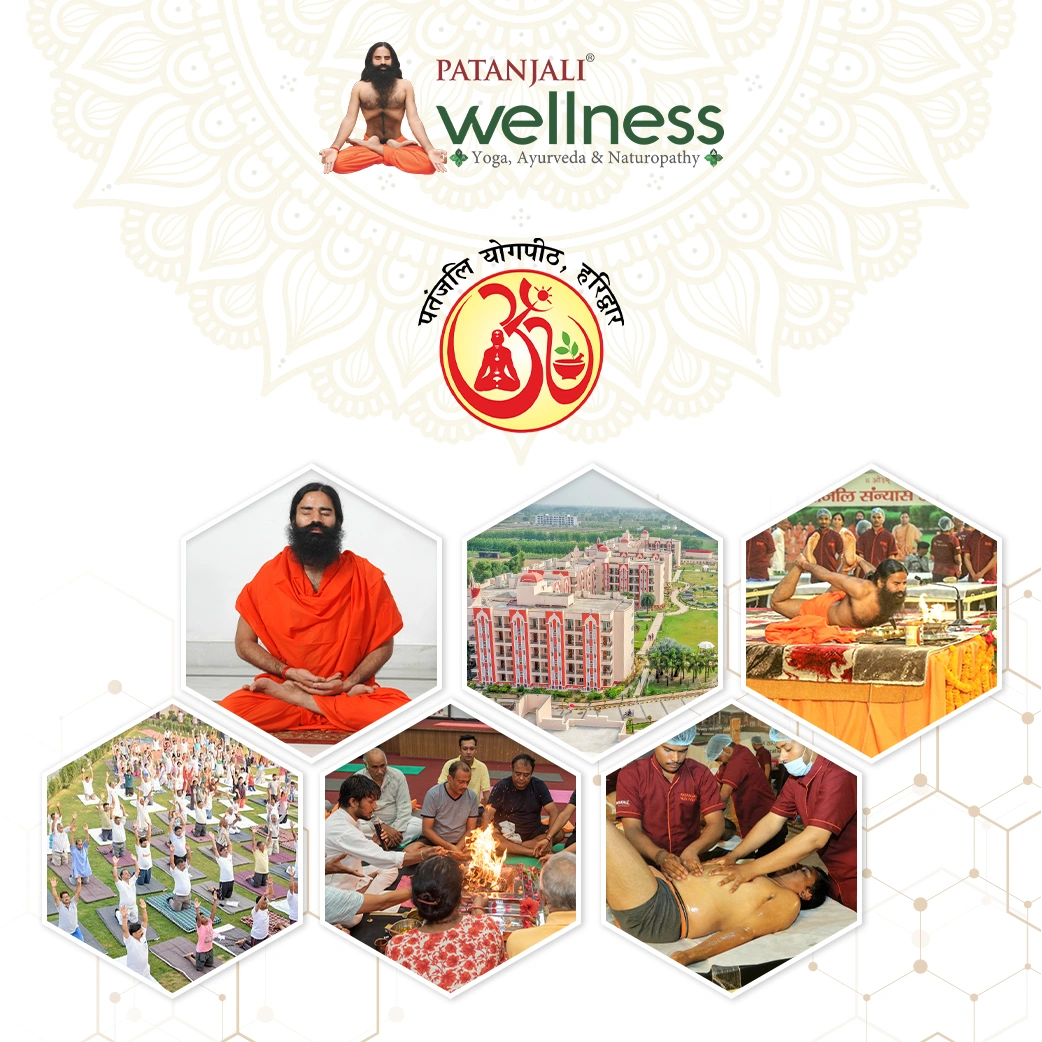 Patanjali Wellness Haridwar