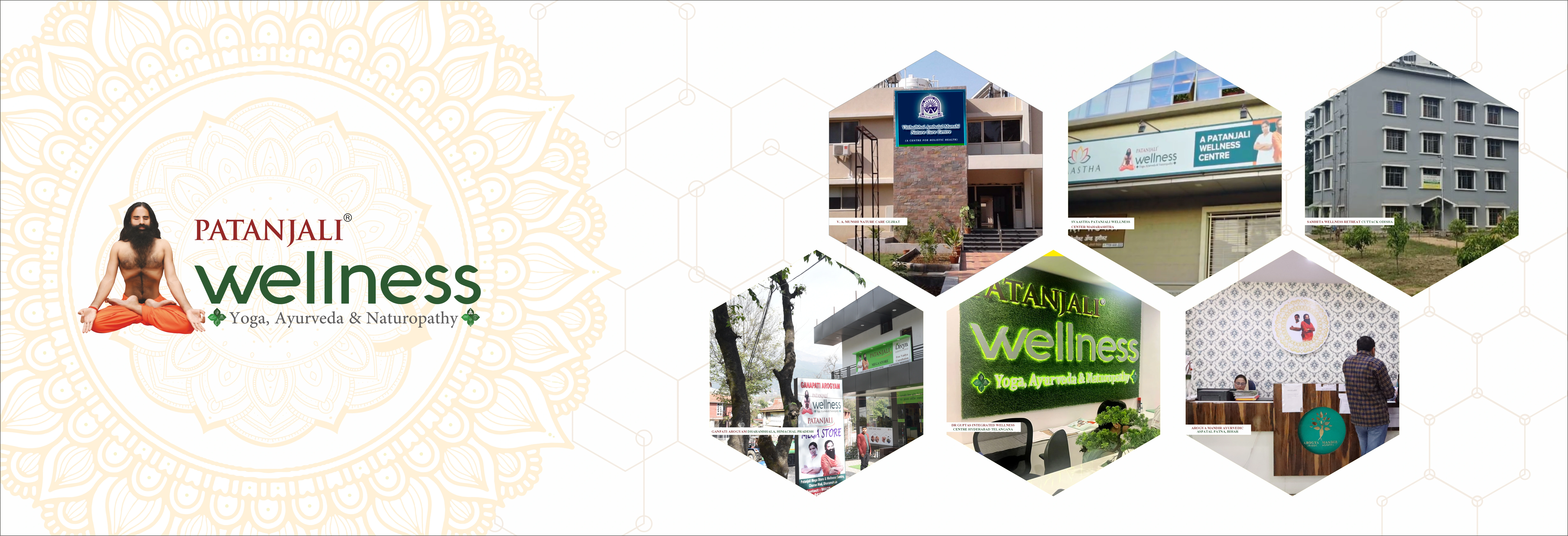 Book Holistic health practices at Patanjali